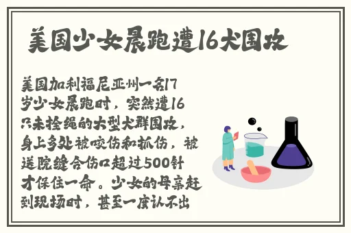 给开公交车的男朋友送什么礼物